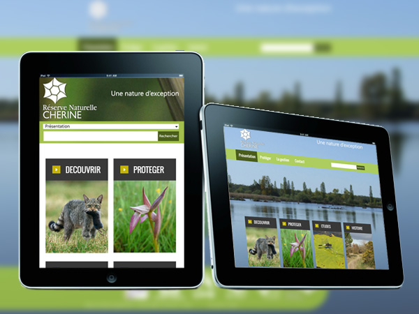 retrospective 2013, lancement de trois sites Internet